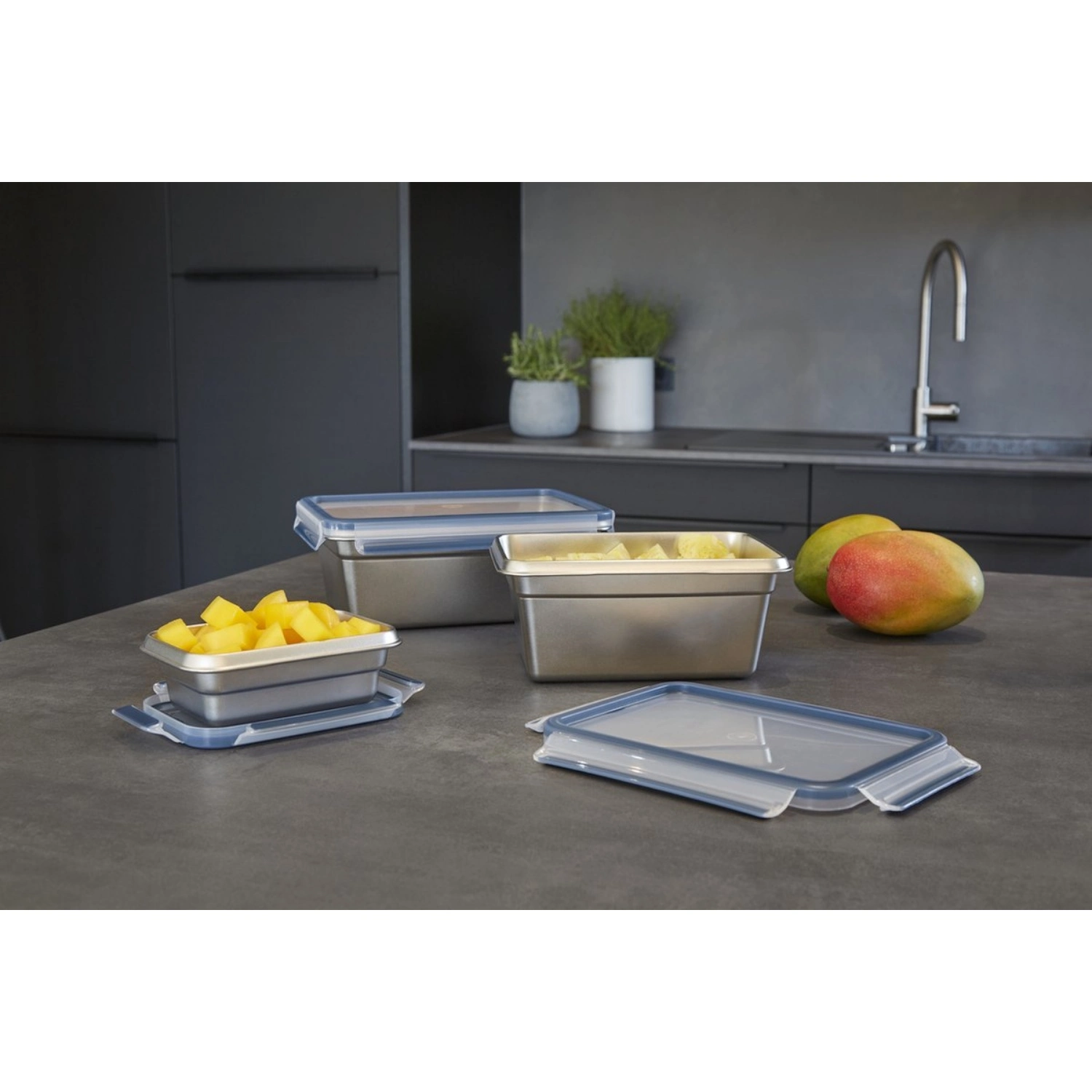 Tefal Masterseal RVS Vershouddoos Rechthoek 3.0 L 8 Tefal Masterseal RVS Vershouddoos Rechthoek 3.0 L - Afbeelding 6